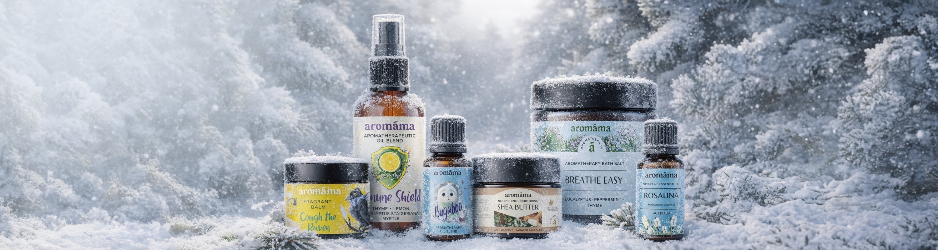 Mid-Winter Sale