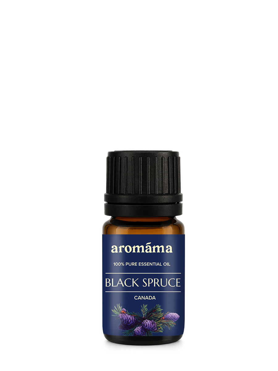 Black Spruce Essential Oil